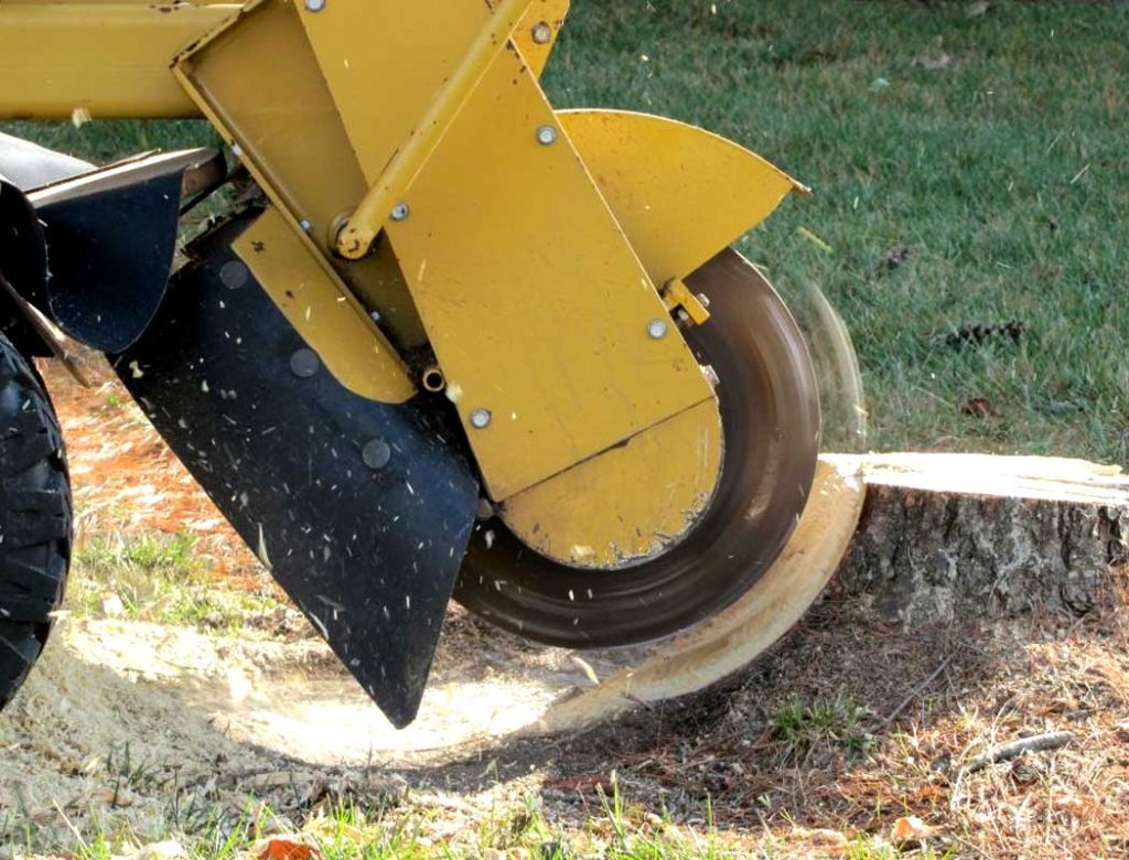 Stump Grinding Services Minnetonka