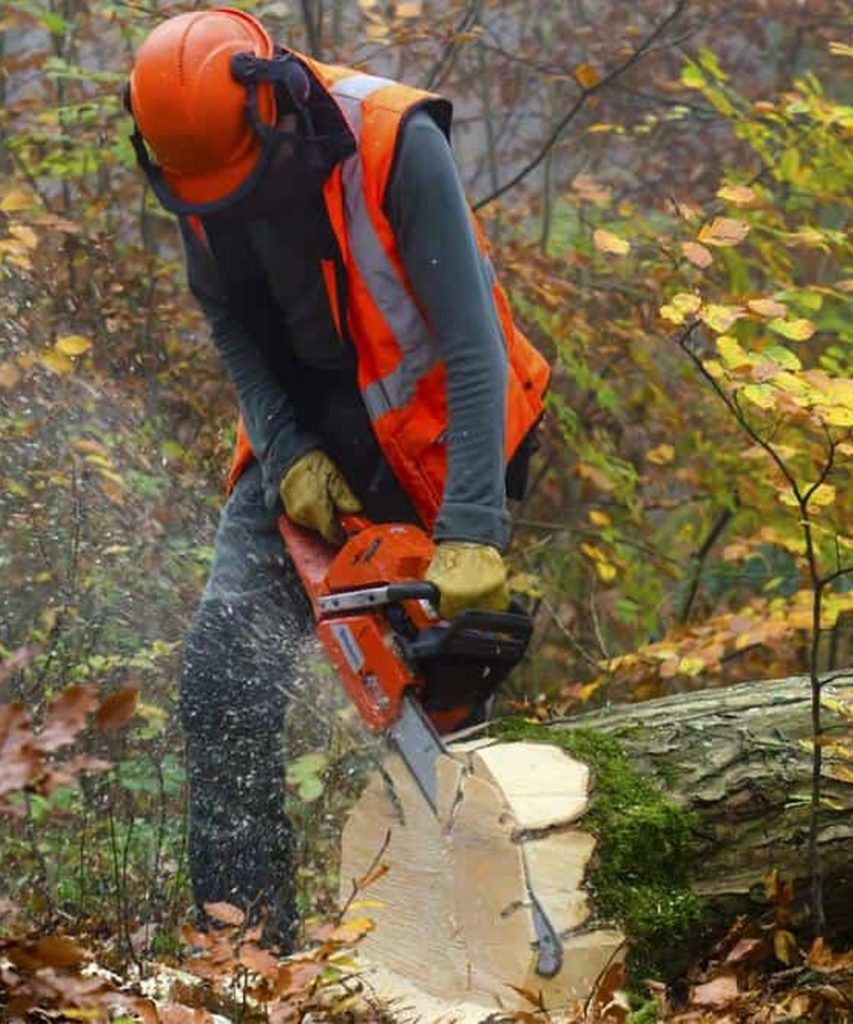 Sectional Tree Removal Minnetonka