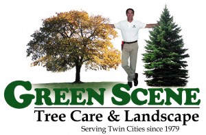 Green Scene Tree & Stump Logo